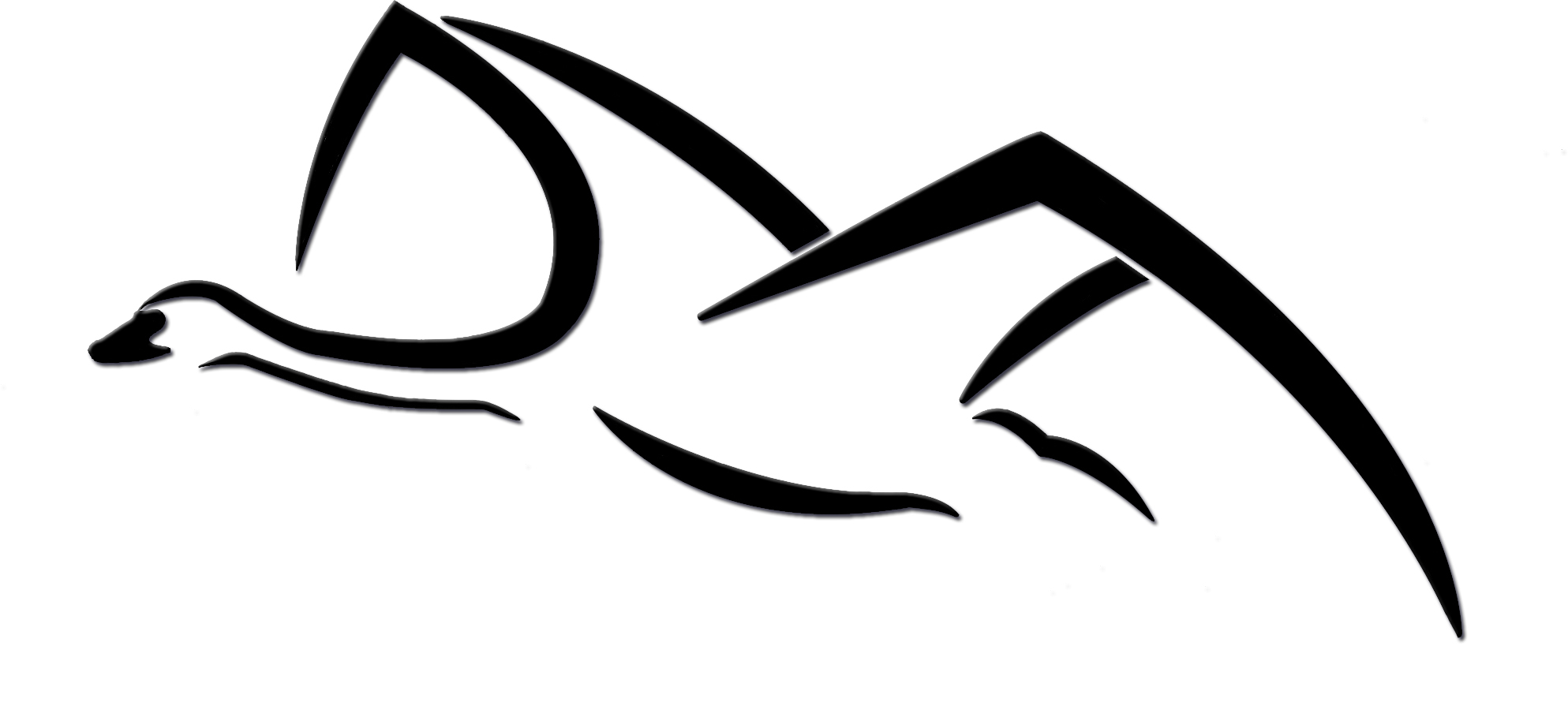 Swan
